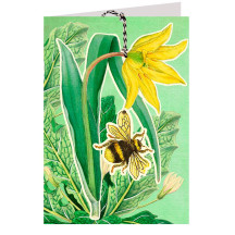 Bee and Blossom Botanical Card ~ England